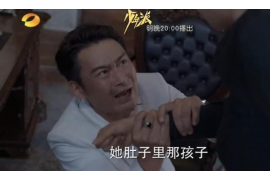 汪清汪清的要账公司在催收过程中的策略和技巧有哪些？